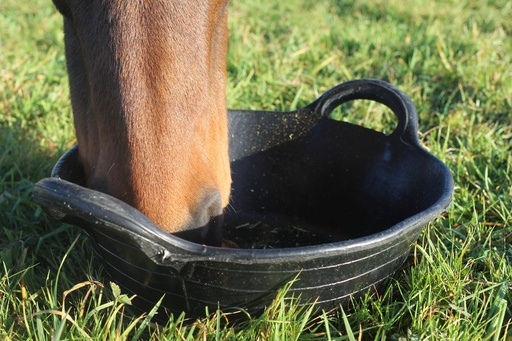 Red Gorilla - Rubber Type Baskets & Skips - Medium