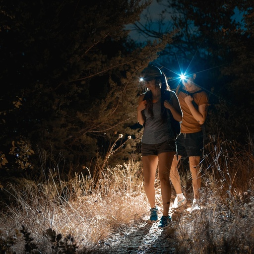 Nebo - Einstein 1000 Flex Headlamp