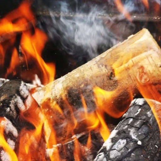 Bad Axe - 21L Beech Firewood