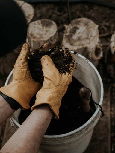 Barebones - Classic Work Glove (Natural) S/M