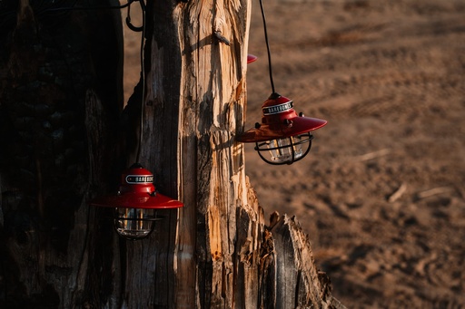 Barebones - Edison String Lights (Red)