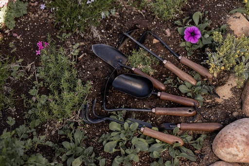 Barebones - Japanese Weeding Hoe - Walnut/Black