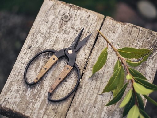 Barebones - Small Scissor - Walnut