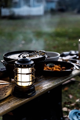 Barebones - Forest Lantern - Antique Bronze