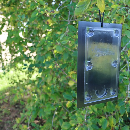 STV - Tomato Leaf Miner Trap - Twinpack