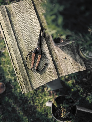 Barebones - Garden Scissors