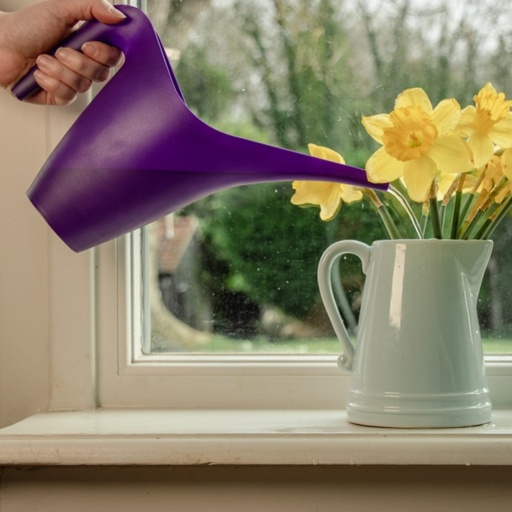STV - No-Spill Spouted Watering Jug - 1L - Assorted Colours