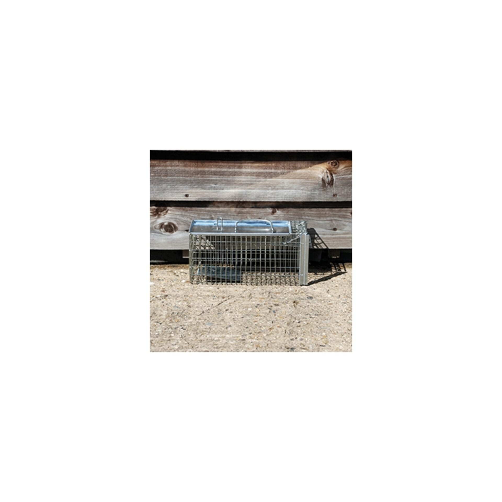 STV - Live Rat & Small Animal Cage Trap