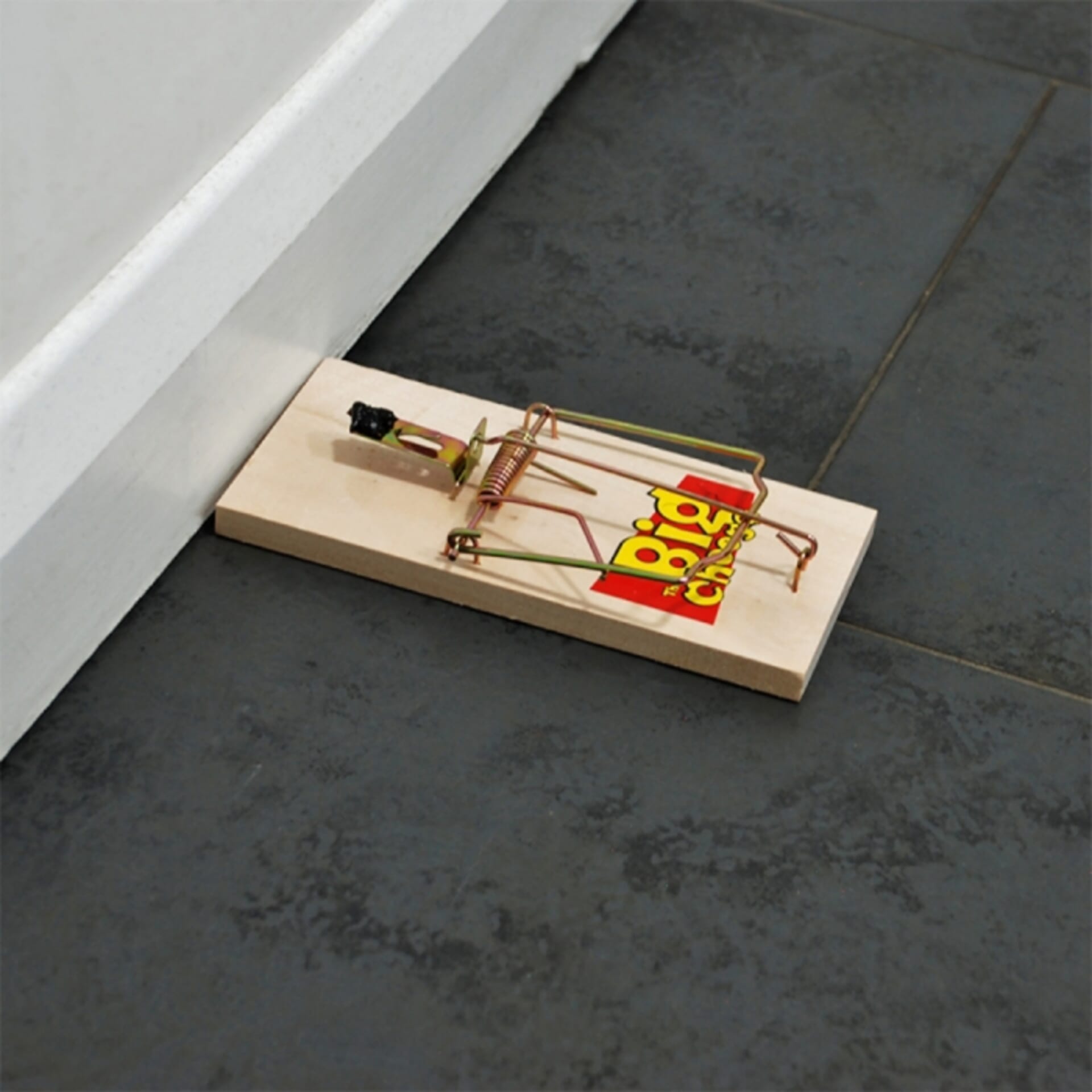 STV - Wooden Rat Trap - Twinpack