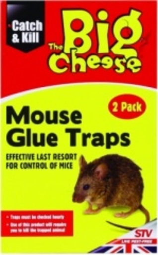 STV - Mouse Glue Traps - 2 Pack