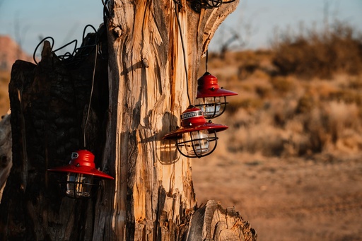 Barebones - Edison String Lights (Red)