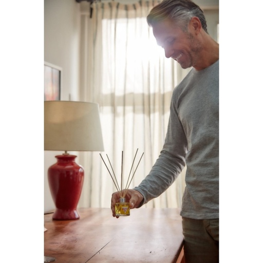 STV - 30-Day Bamboo Diffuser