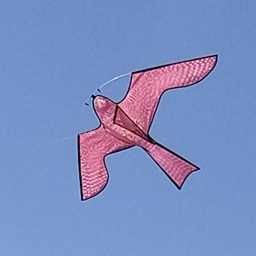 STV - Hawk Kite Bird Scarer