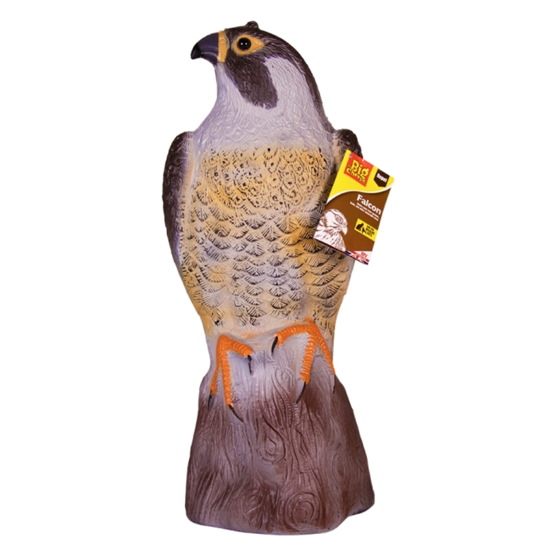 STV - Falcon