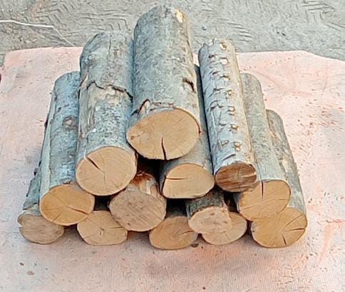 Bad Axe - Firewood - Round Logs