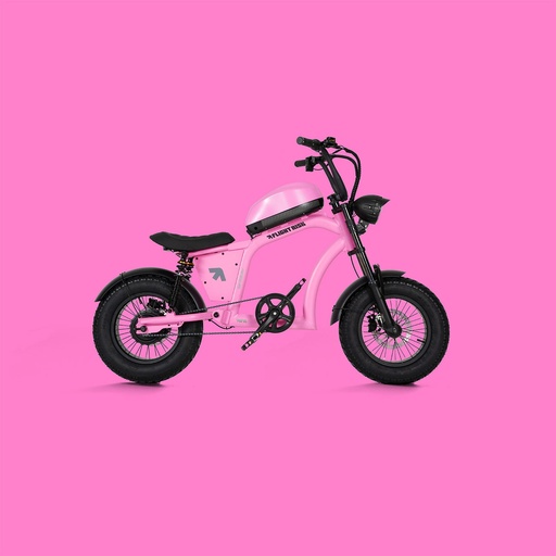 Flight Risk - FR606 – The Rulebreaker - Pink